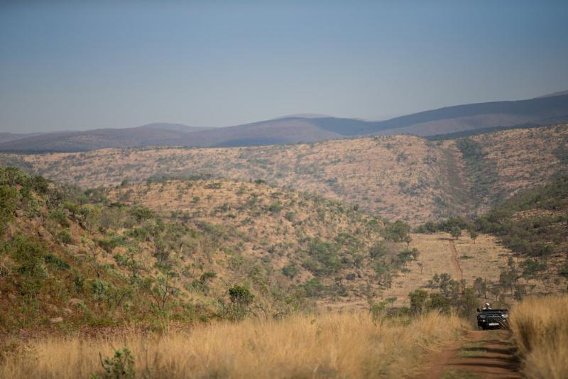 Tshwene Lodge Vaalwater Exterior foto