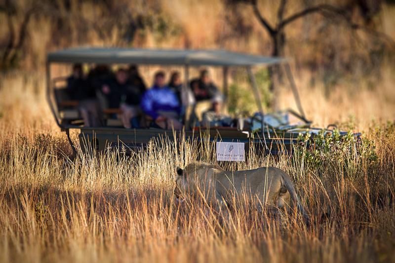 Tshwene Lodge Vaalwater Exterior foto